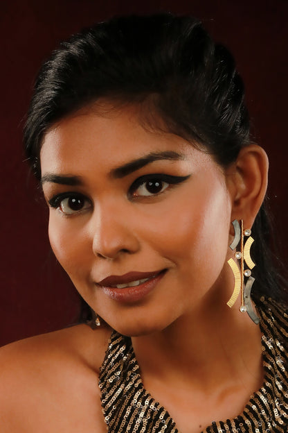 Linear Shaped Earrings 
