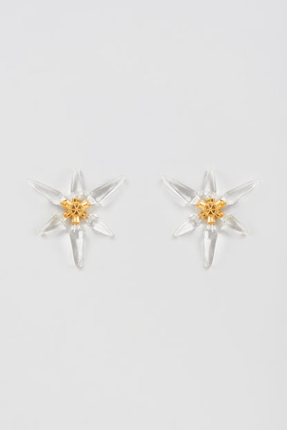 Gold Finish Stud Earrings