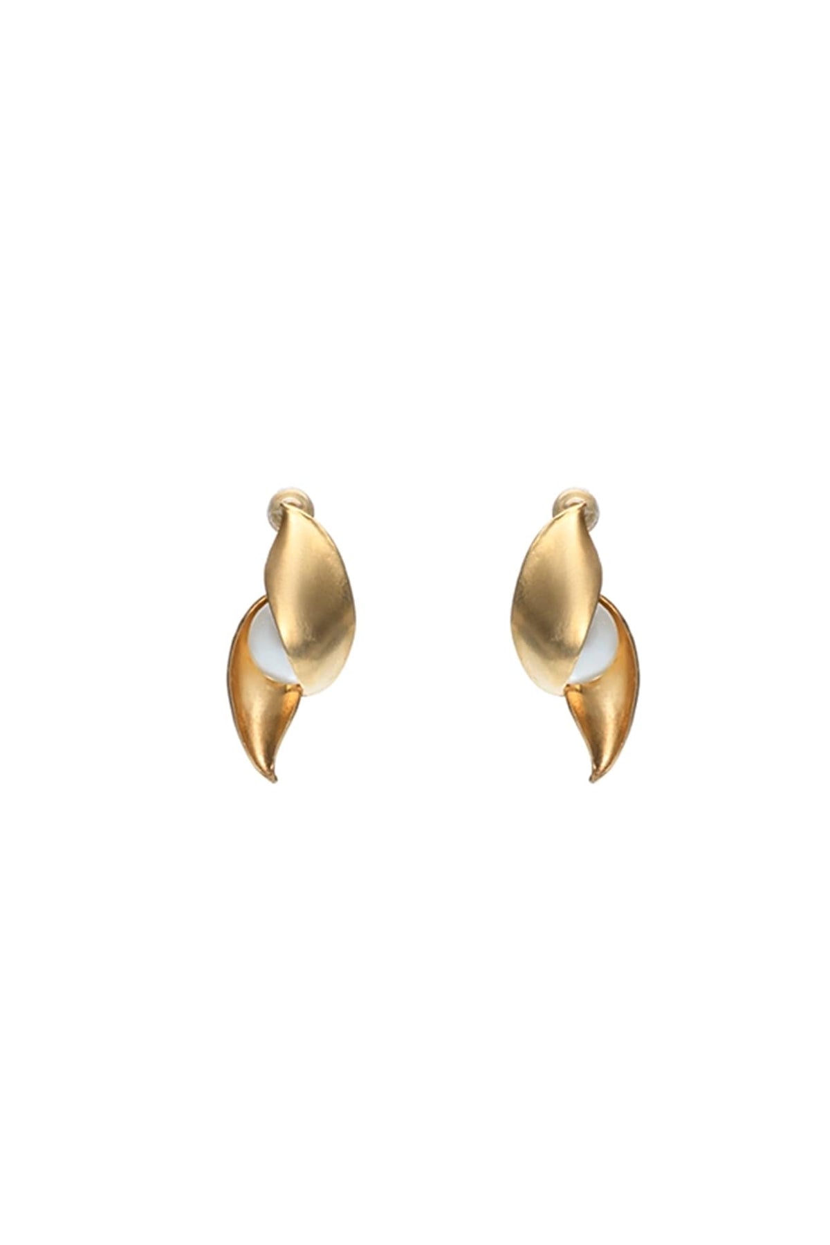 Gold Finish Shell Dangler Earrings