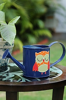 Blue Iron Watering Can