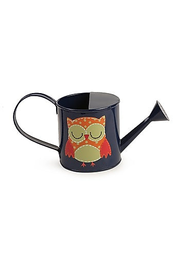 Blue Iron Watering Can