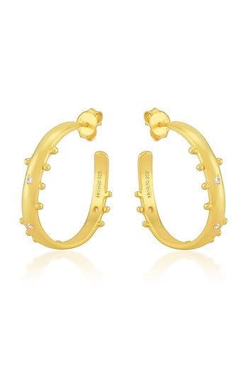 Gold Finish Hoop Earrings In Mixed Metal