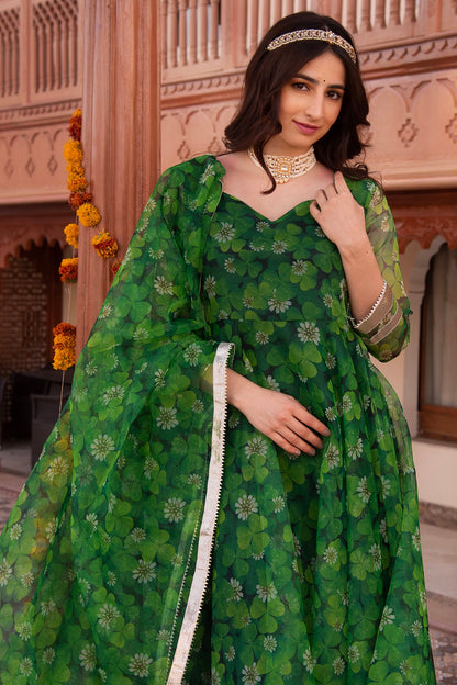 Spring Green Organza Printed Anarkali Set