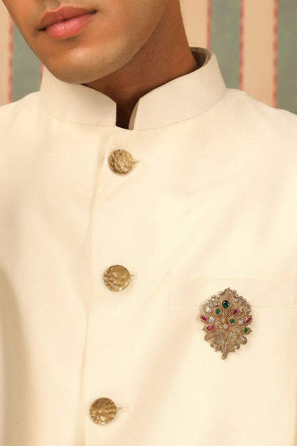 Gold Brass Peacock Power Brooch