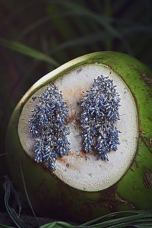 Gold Finish Grey & Blue Tasseled Earrings