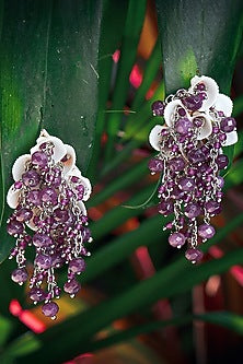 Gold Finish Purple Glass Crystal Dangler Earrings