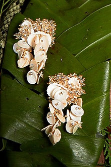 Gold Finish Shell & Crystal Stud Earrings