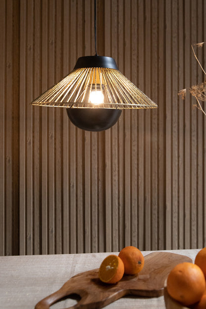 Black & Gold Iron Pendant Light
