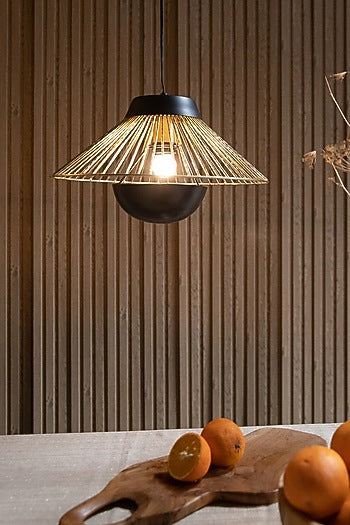 Black & Gold Iron Pendant Light
