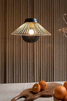 Black & Gold Iron Pendant Light