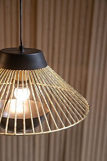 Black & Gold Iron Pendant Light