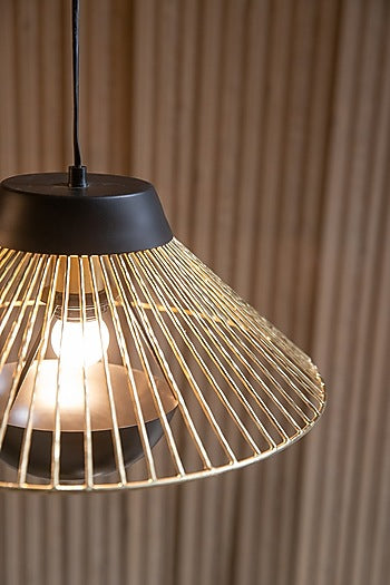 Black & Gold Iron Pendant Light