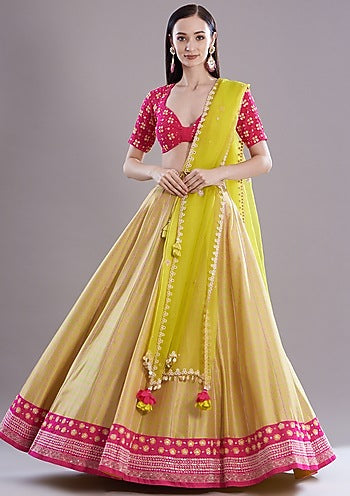 Spring Green Silk Embroidered & Printed Lehenga Set