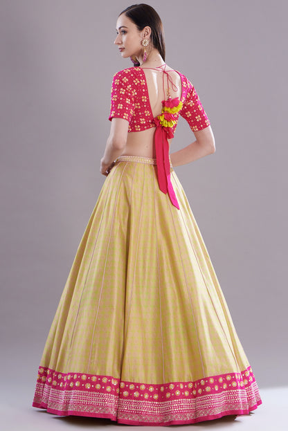 Spring Green Silk Embroidered & Printed Lehenga Set