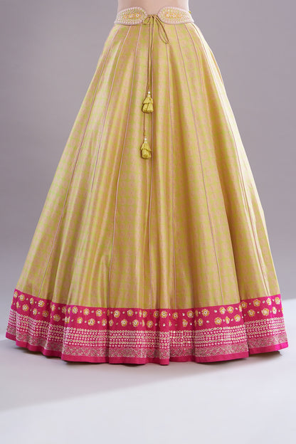 Spring Green Silk Embroidered & Printed Lehenga Set