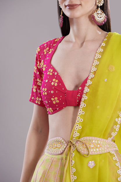 Spring Green Silk Embroidered & Printed Lehenga Set