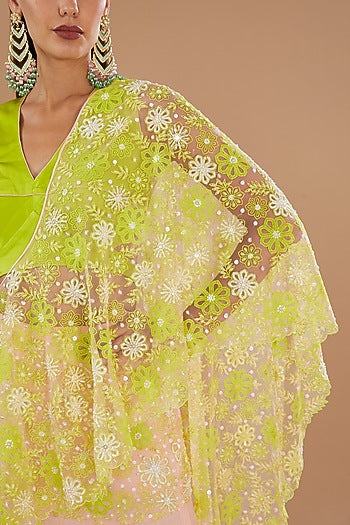 Crystal Rose & Spring Green Chiffon Machine Embroidered Draped Skirt Saree Set