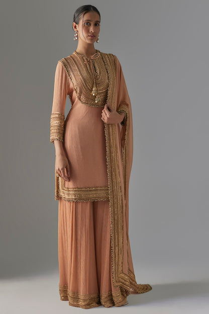 Kadambari Pink Chiffon Sequins Embroidered Sharara Set