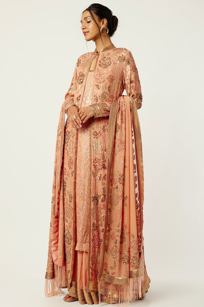 Kadambari Pink Chiffon Embroidered Sharara Set
