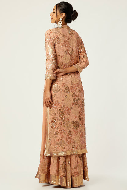 Kadambari Pink Sharara Set With Embroidery