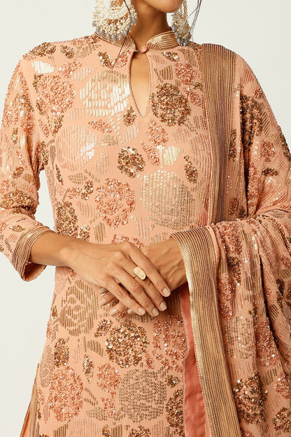 Kadambari Pink Sharara Set With Embroidery
