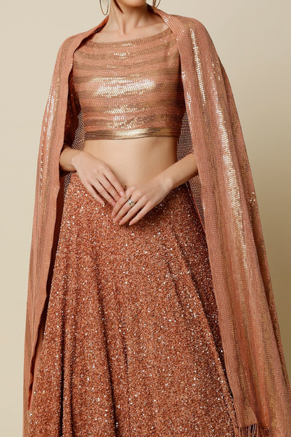 Kadambari Pink Silk Chiffon Lehenga Set