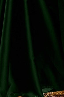 Emerald Satin Georgette Gota Fringe Border Saree