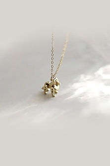 Gold Plated Leo Necklace