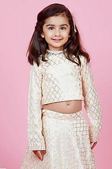 Gold Finish Kundan Polki Meenakari Hand Harness (Set Of 2)