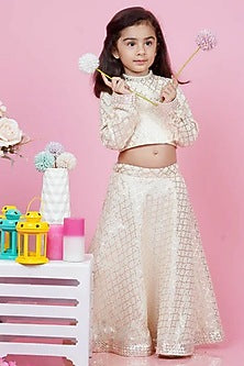 Gold Finish Kundan Polki Meenakari Hand Harness (Set Of 2)