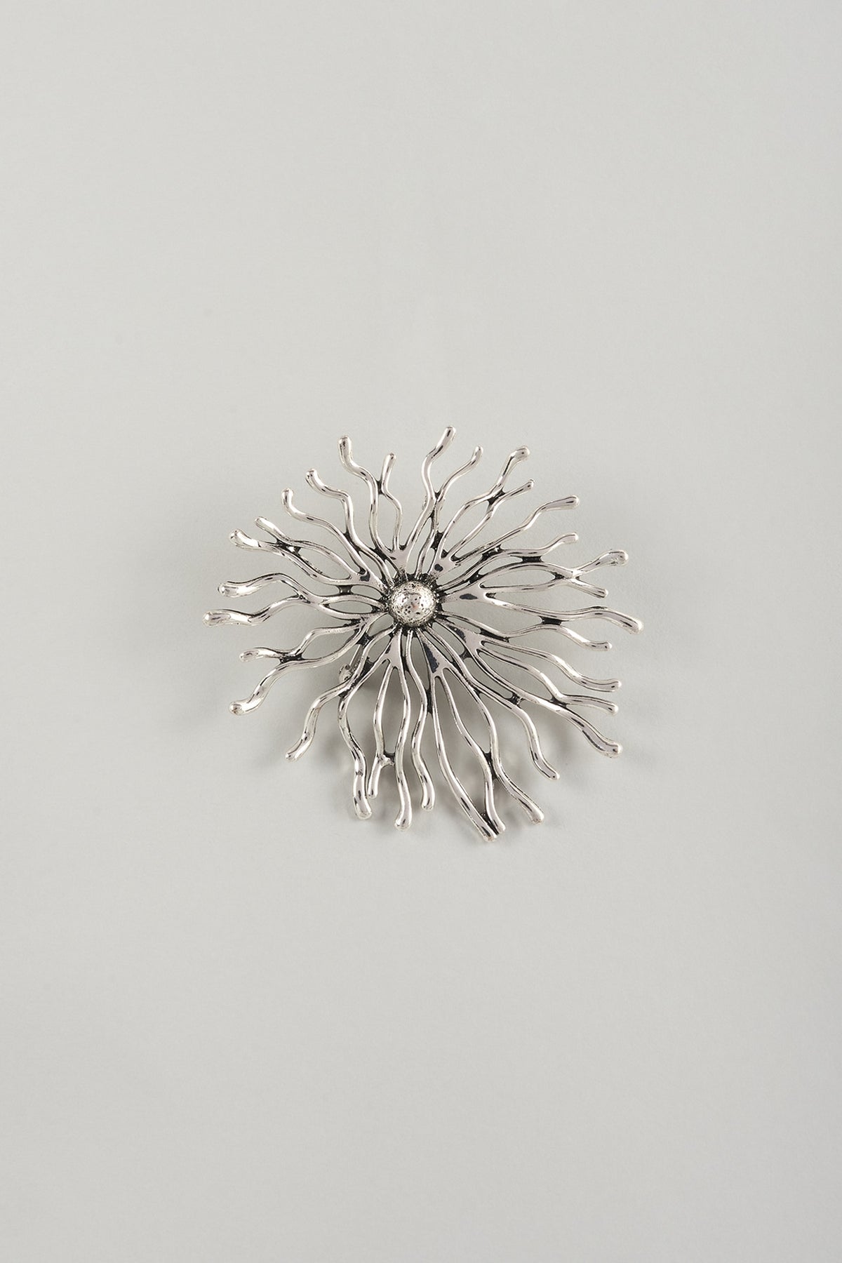 Silver Finish Embellished Floral Burst Brooch