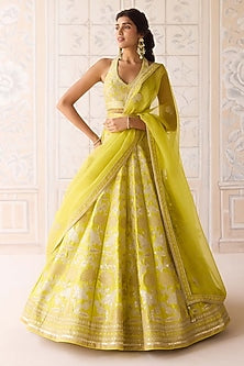 Spring Green Raw Silk Applique & Thread Embroidered Lehenga Set