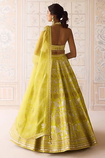 Spring Green Raw Silk Applique & Thread Embroidered Lehenga Set