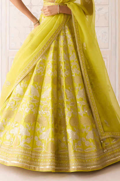 Spring Green Raw Silk Applique & Thread Embroidered Lehenga Set