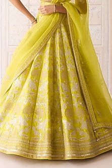 Spring Green Raw Silk Applique & Thread Embroidered Lehenga Set