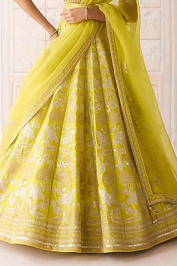 Spring Green Raw Silk Applique & Thread Embroidered Lehenga Set
