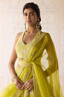 Spring Green Raw Silk Applique & Thread Embroidered Lehenga Set