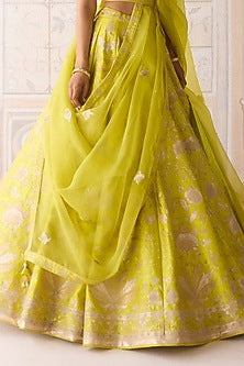 Spring Green Raw Silk Applique & Thread Embroidered Lehenga Set