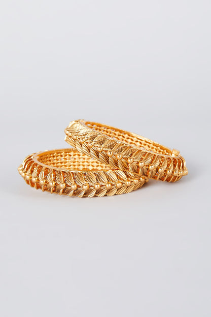 Gold Finish Bangles (Set of 2)