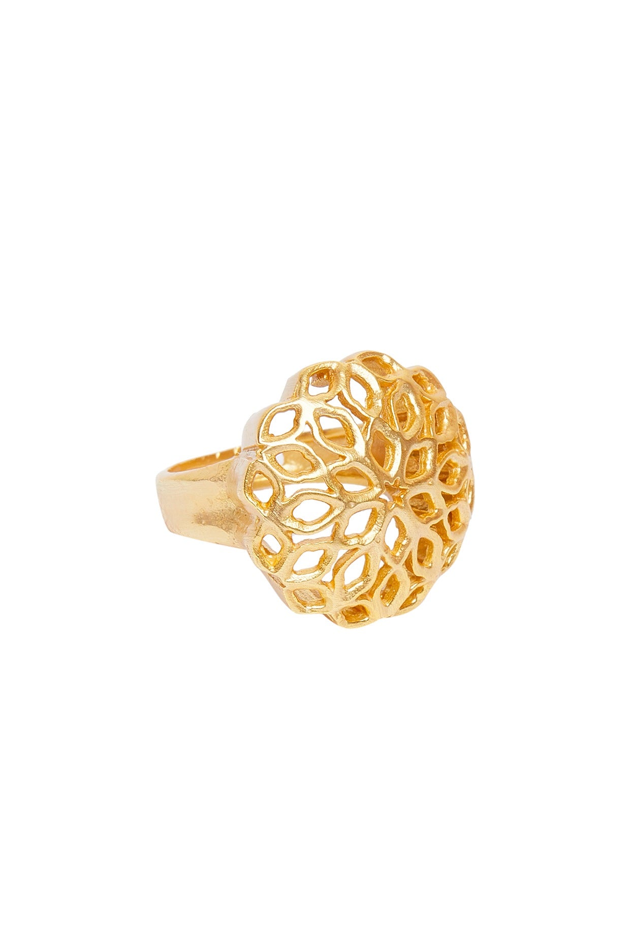 Gold Plated Rings (Set of 2) In Gift Box