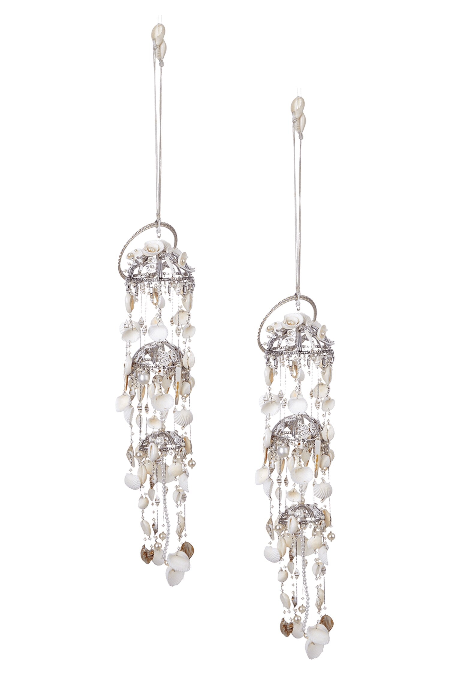Lophorina Shell Kaleera Single Pc 