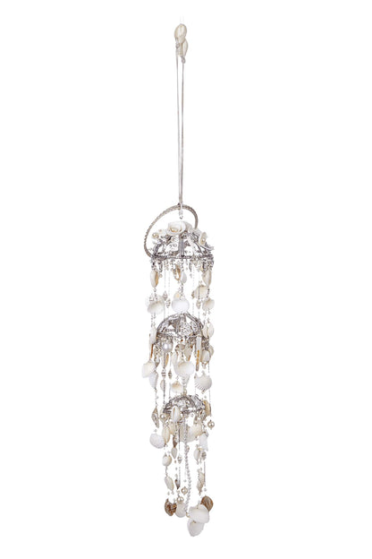 Lophorina Shell Kaleera Single Pc 